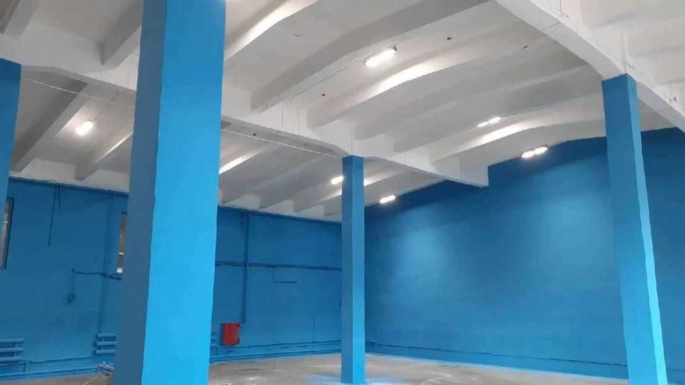 Аппаратная покраска