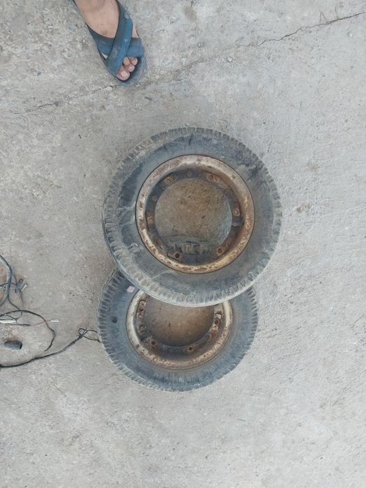 Запчас муравей .