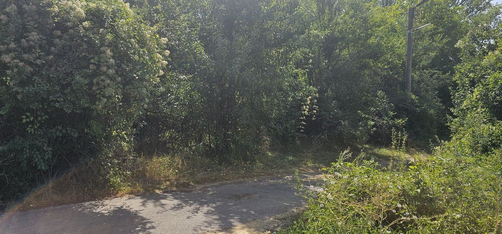 Продава се Парцел в с. Ковачевци, Област Перник - 750 кв.м за 22 €/кв.м - Снимка #4