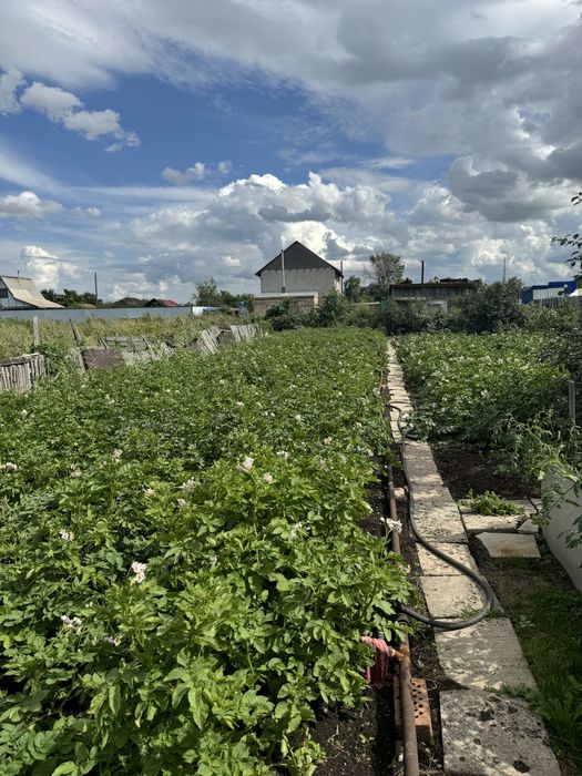Продам дачу по осени