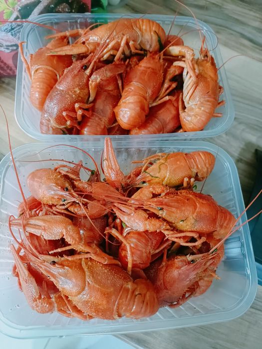 Раки  раки   раки