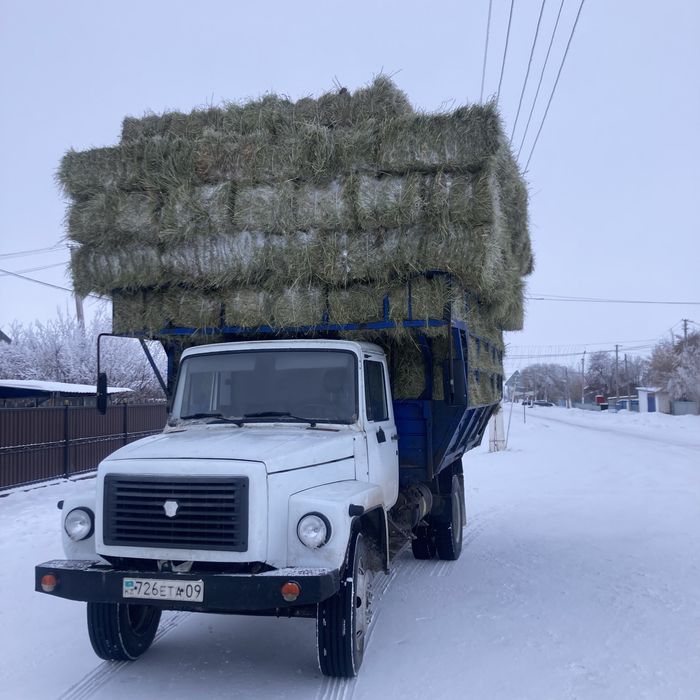 Сено Тюки Рулон…..