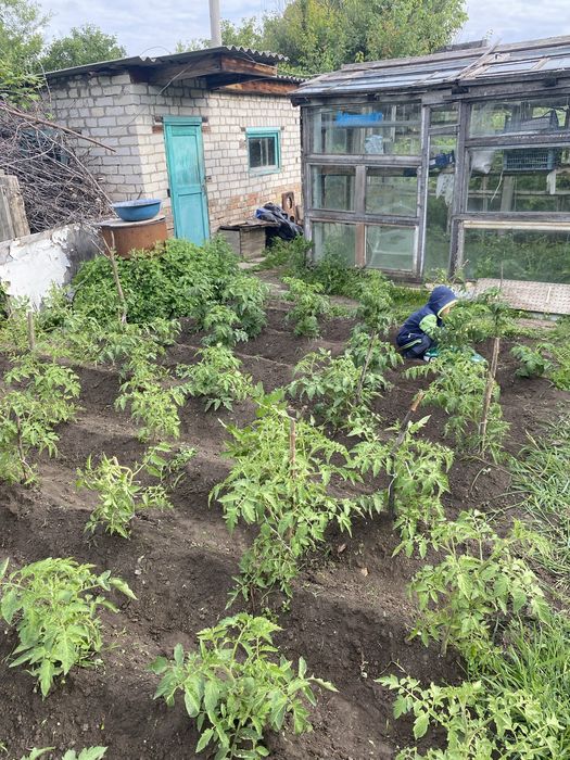 Продам дачу «Волна Телецентр» Не топит!