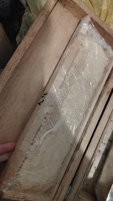 Мёд с личной пасики!