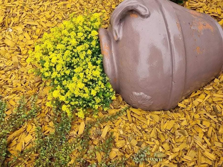Градински Мулч, Тревен чим