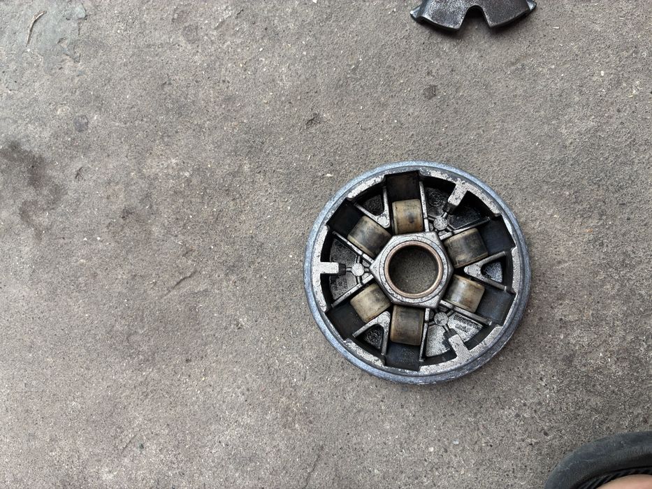 Variator malossi