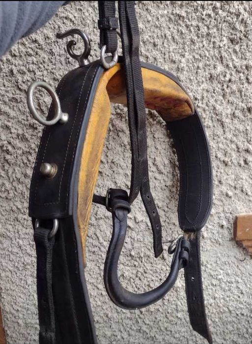 Hamuri maraton trăsura Olanda