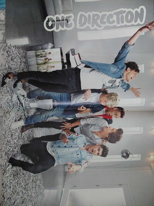 Poster One Direction / Hunger games