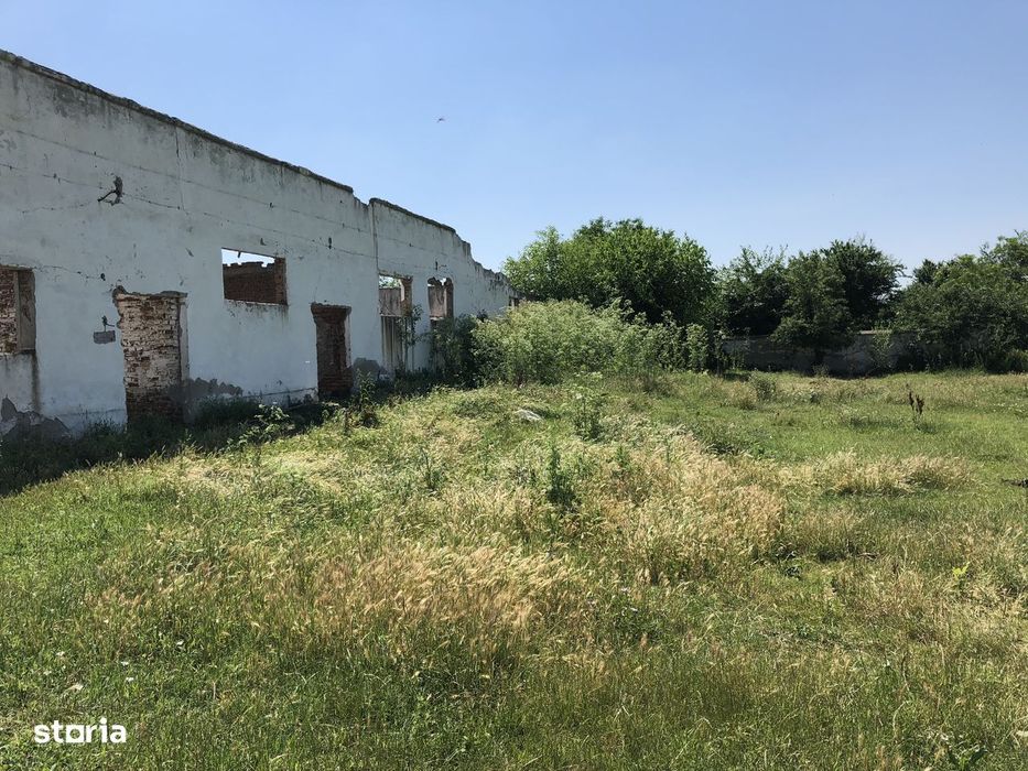 Teren + construcții de vânzare – Rădoiești Cetatea, jud. Teleorman
