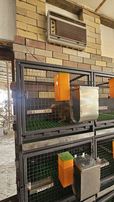 Куёнларга уй 15 хонадан иборат