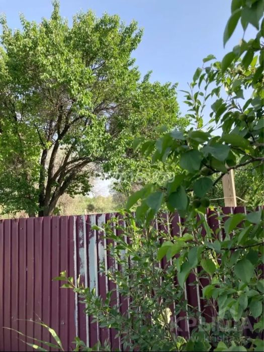 Коксу дын касында дача сатылады