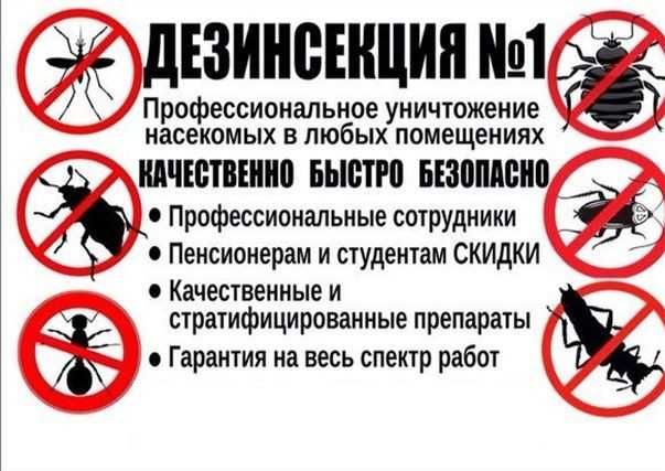 Дезинфекциия от клопов