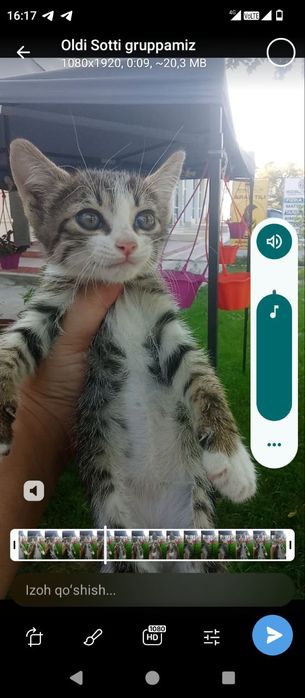 100 mingdan muwukchalar