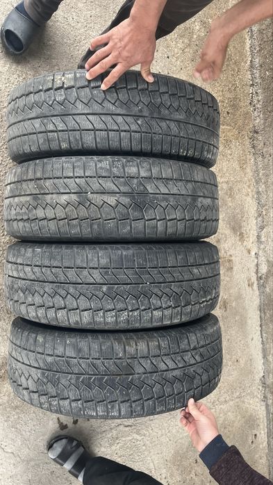 Қысқы донғалақтар. Зимный балон