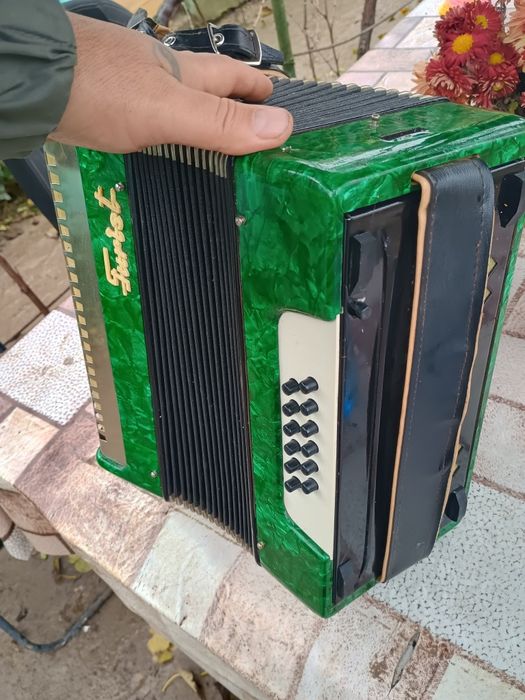 Vantd acordeon începători