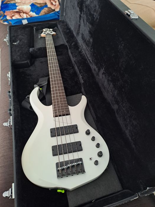 Chitară bass cinci corzi
