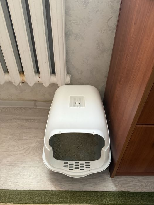 продаю котенка в хорошие руки