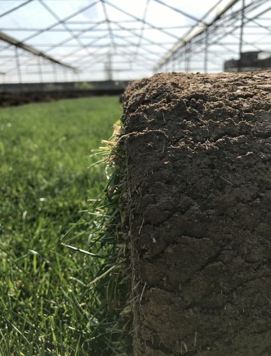 Gazon lanshaft dostavka +ustanovka