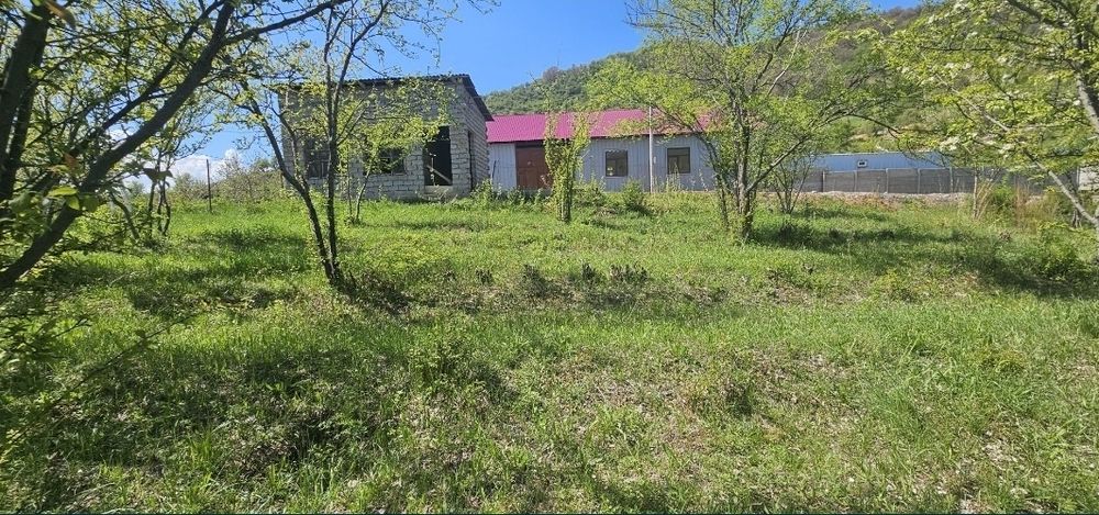 Dala hovli uchun yer uchastkasi