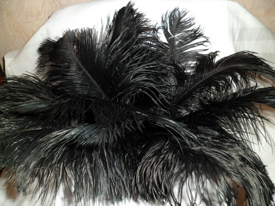 Перья Страуса черные