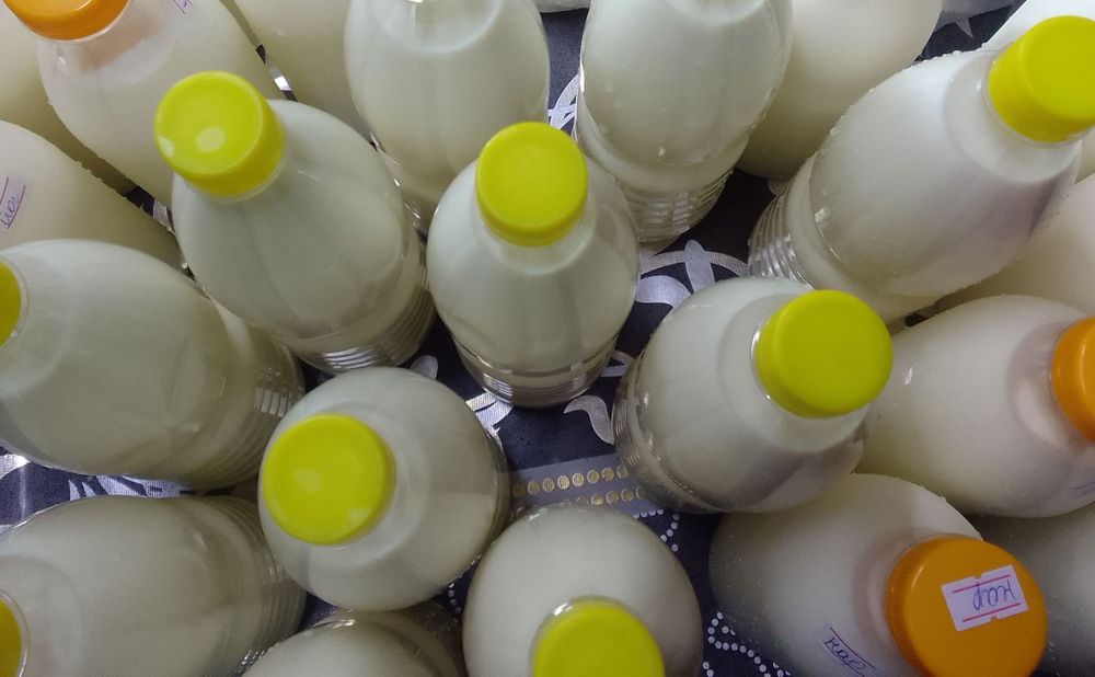 Козье молоко, йогурт