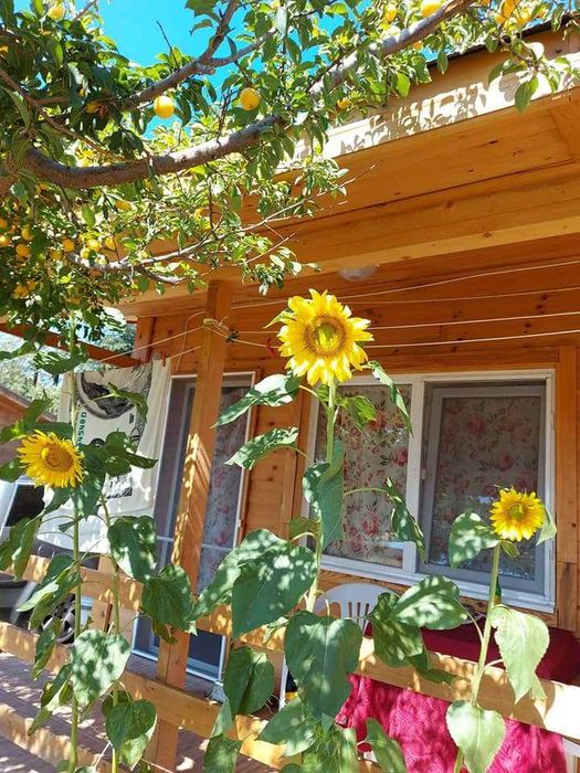 Бунгала на брега на морето