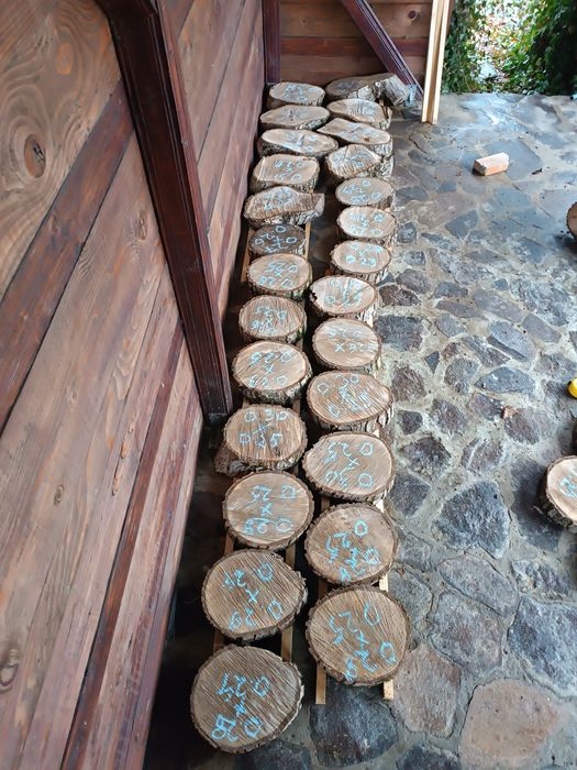 Rondele/ blaturi lemn nuc/pâr