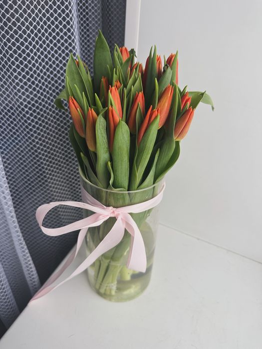 Тюльпаны Костанай