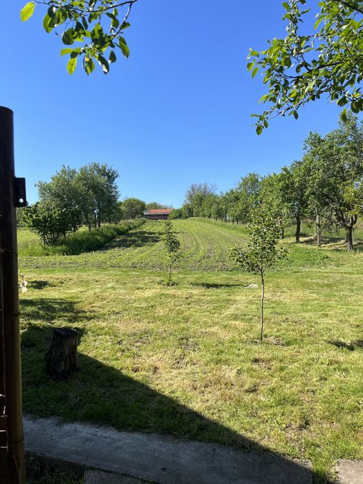 Vând casă în localitatea Paniova