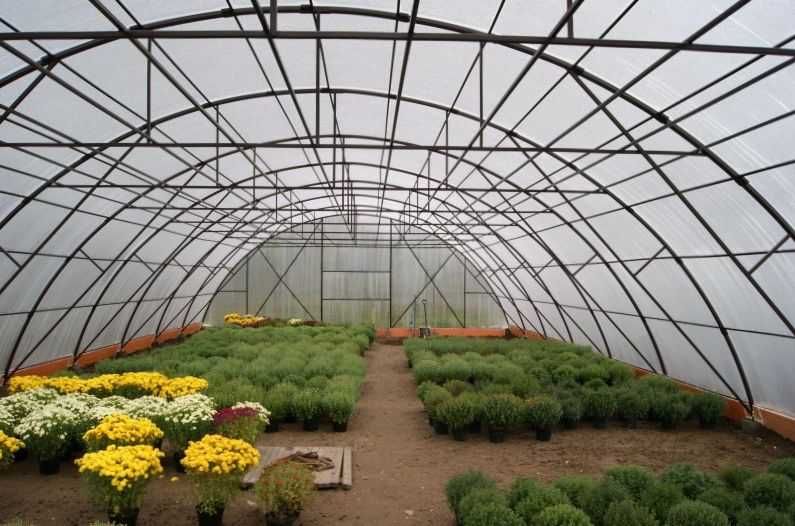 поликарбонат для теплиц Актуаль!Bio