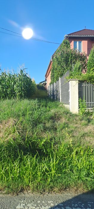 Vând teren intravilan 10000 mp