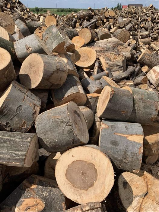 Lemne de foc, esenta tare!