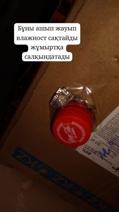 Инкубатор для птиц