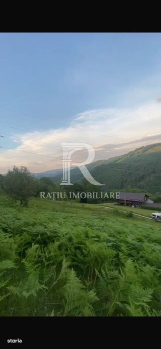 Teren 10.900mp | Panoramă în Apuseni | Remeți -Ideal pentru Investitii