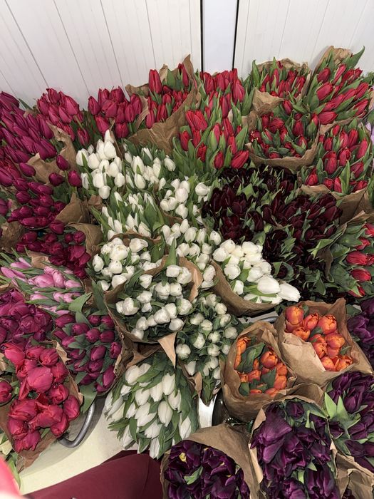 Тюльпаны по 650тг