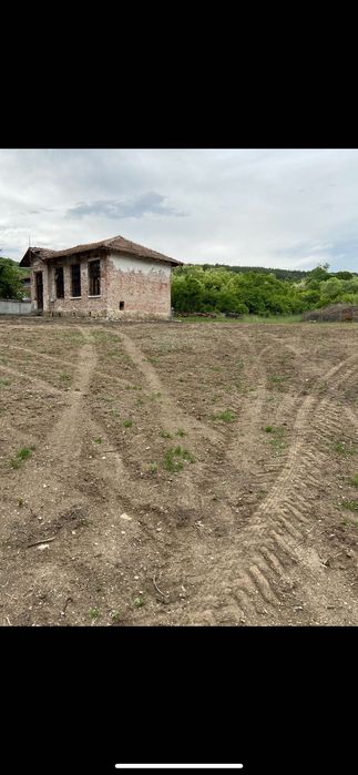 Продава се Парцел в Драгоман - 1300 кв.м за 43 €/кв.м - Снимка #3