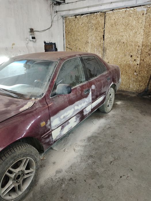 Костоправ и маляр