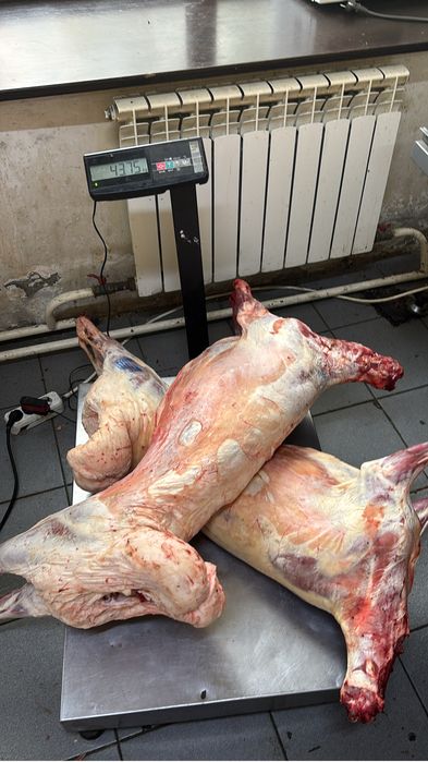 Баранина можно тушами