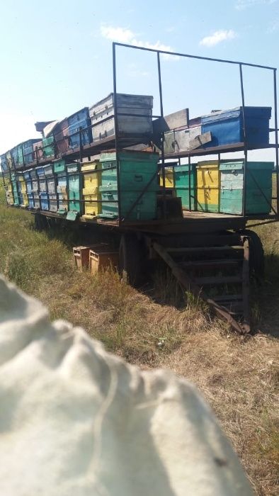 Продам прицеп, улья