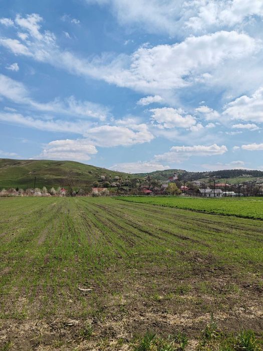 Teren 2000 mp Gădălin (Jucu)