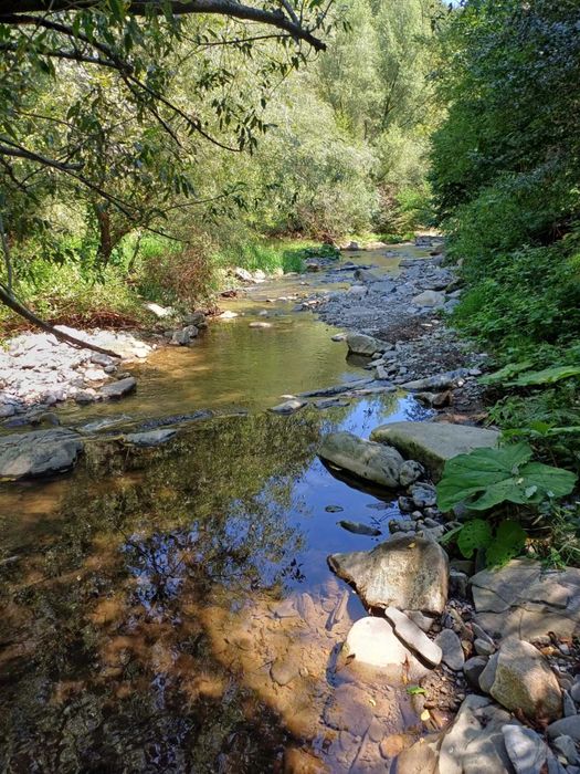 Продава се Къща в Плевен, Идеален център - 60 кв.м за 1042 €/кв.м - Снимка #13