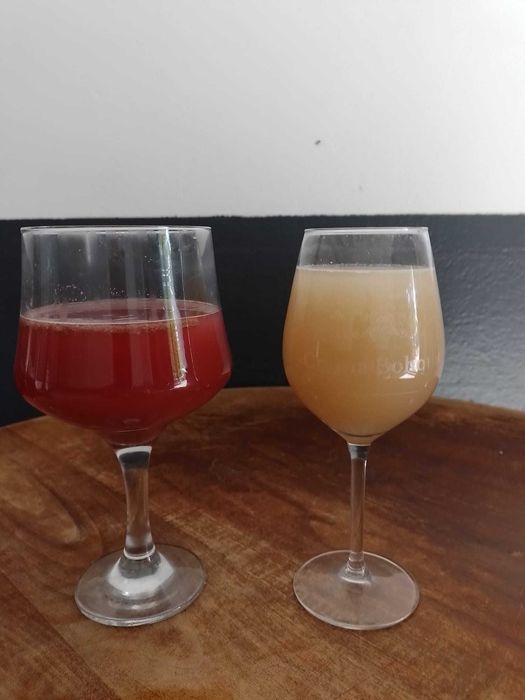 Vand must Busuioaca Bohotin