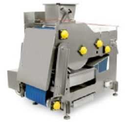 Linie automata suc de fructe si legume- 400 kg/ ora- NOUA