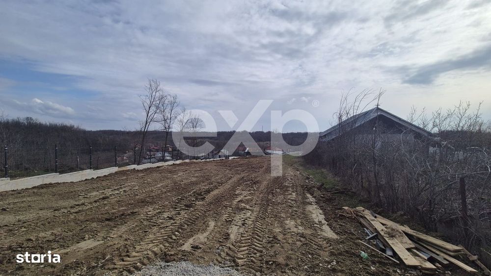 Teren 1.500 mp langa padure, Albota – liniste, natura si potential d