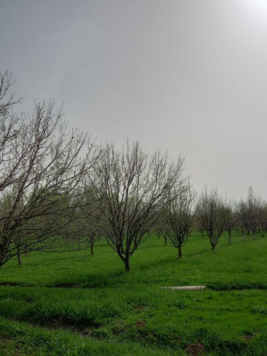 Жер учаскесі сатылады