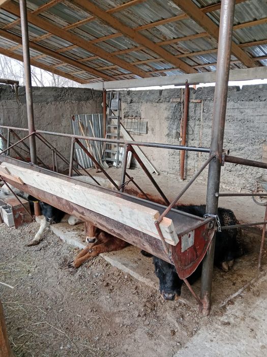 Продам дом с пристройкой