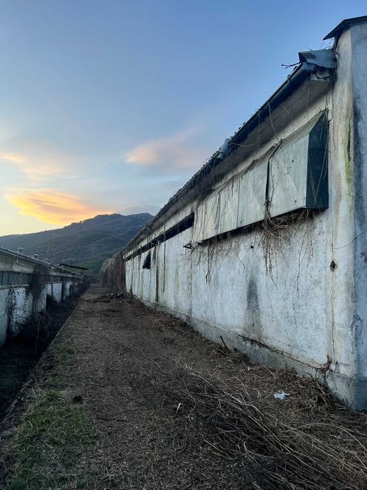 Отдава под наем халета за складови и производствени цели