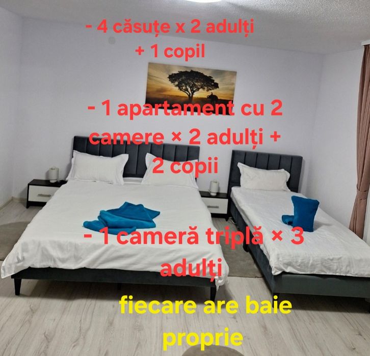 Cazare Sovata - Case de vacanță Gabriel