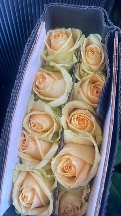 Букет цветов 25 шт роза