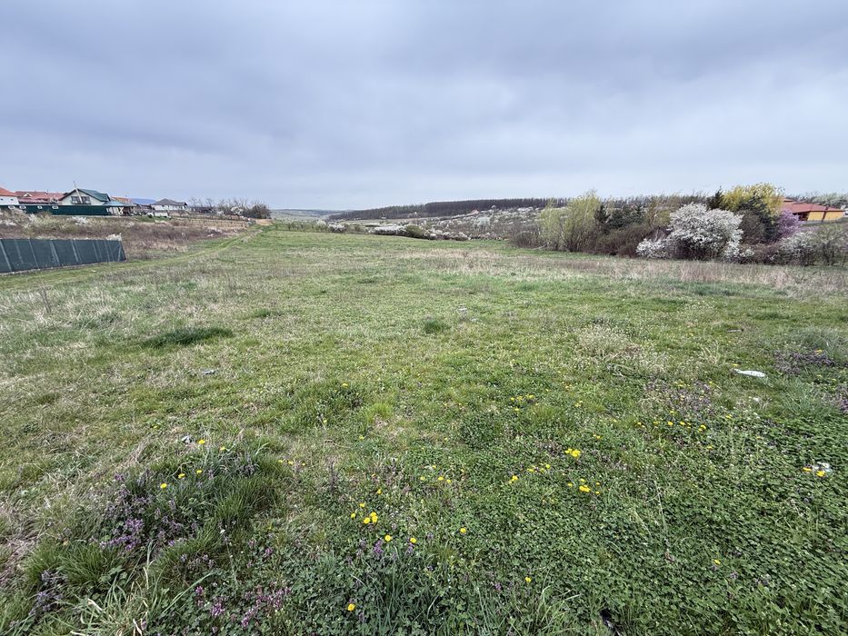 Ofer spre vanzare fundatie pentru Casa + Teren 58 Arii in Viile SM